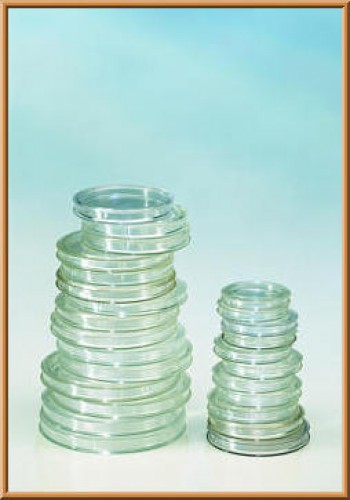 Münzkapseln aus Polystyrol 44.0 mm 10er Packung